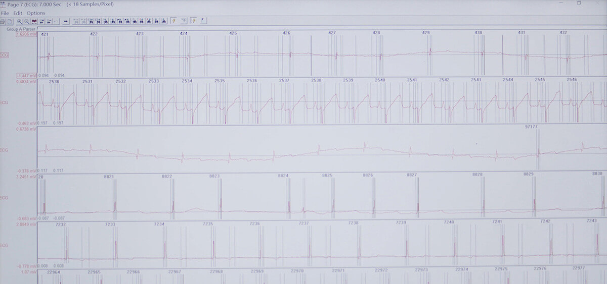 CC网投 SEND 数据转换平台