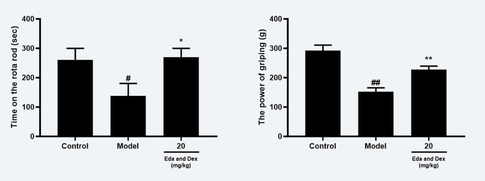 神经功效药效学考察：C 转棒滞留时间；；；；D 抓握力（mean±SEM）.jpg