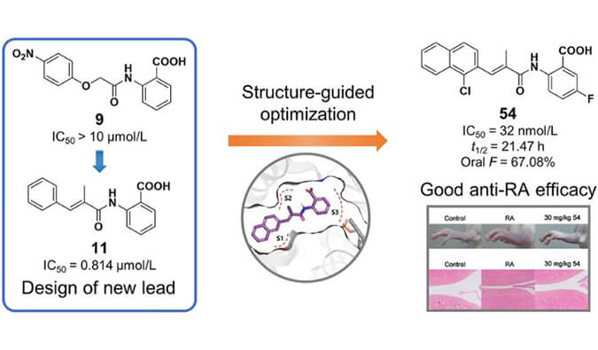 设计合成一系列DHODH抑制剂作为潜在的类风湿性枢纽炎治疗药物，，，本研究中PK实验通过CC网投举行