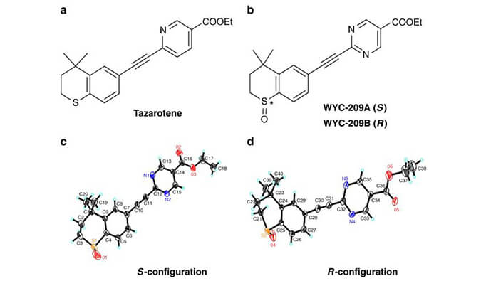 WYC-209可抑制恶性小鼠玄色素瘤肿瘤再生细胞增殖，，，本研究中SPR通过CC网投使用Biacore 8K举行