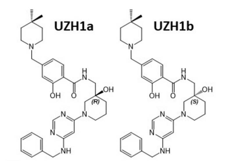 研究职员报告了一种具有细胞渗透性的选择性METTL3纳摩尔抑制剂UZH1a，，，，作者谢谢CC网投合成了UZH1a和UZH1b