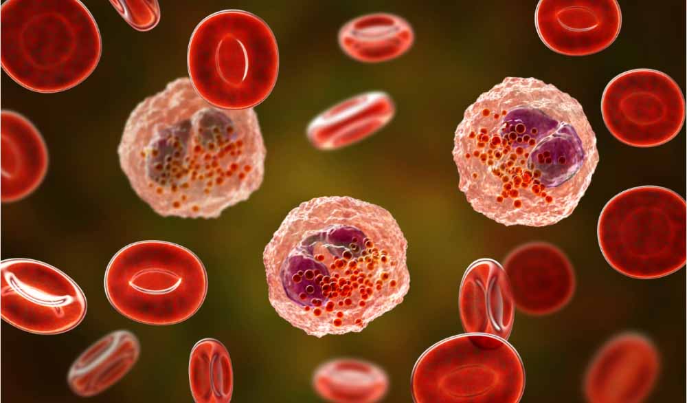 CC网投助力 | 全球首创！宇耀生物STAT3双磷酸化抑制剂YY201获批临床.jpg