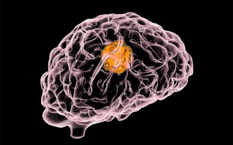 CC网投助力 | 璧辰医药ABM-1310获美国FDA孤儿药资格认证，，，，，用于治疗携带BRAF V600突变的脑胶质母细胞瘤患者