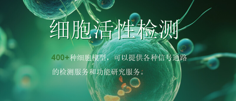 CC网投细胞活性检测.jpg