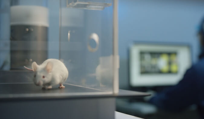 CC网投助力开悦生命针对RNA解旋酶的小分子新药获FDA临床实验允许（IND)