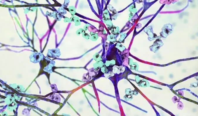 CC网投镇痛药效评价模子