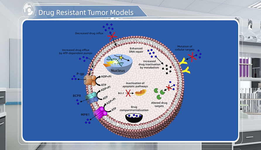 肿瘤耐药机制是什么？？？？？