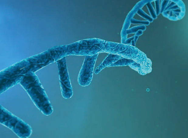 硬“核”新质生产力！陈春麟博士加入中国药学会核酸药物专业委员会建设大会