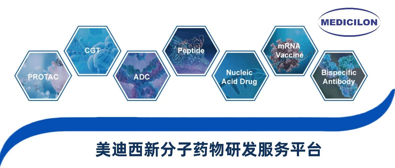 CC网投新分子类型药物研发效劳平台