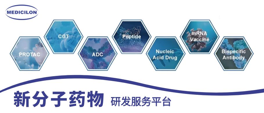 CC网投新分子药物研发效劳平台