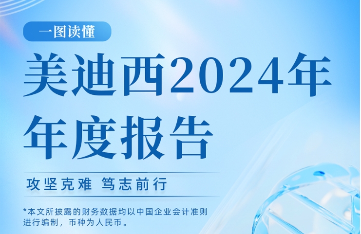 CC网投2024年年度报告