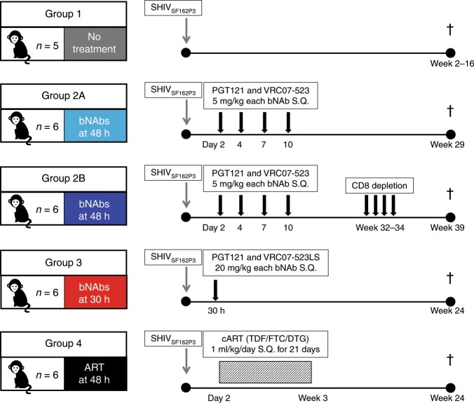 抗逆转录病毒疗法(ART)预防围产期HIV熏染，，，，，本研究中多替拉韦钠盐和游离态均由CC网投提供