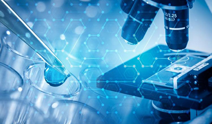 CC网投AI手艺效劳平台g