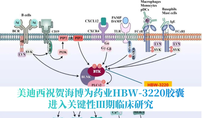 破解耐药性难题，，，CC网投祝贺海博为药业HBW-3220胶囊进入要害性Ⅲ期临床研究